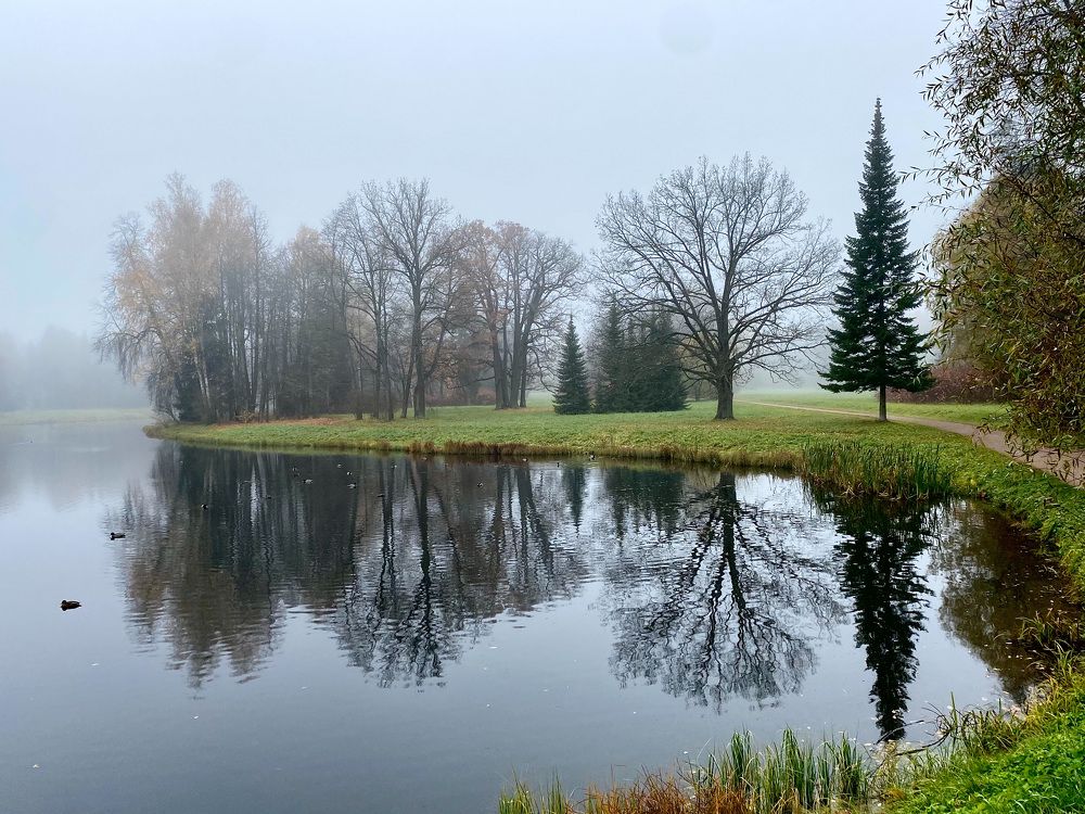 Photograph by Ива