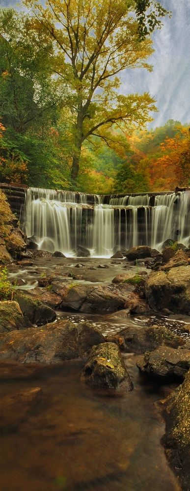 Photograph by Cornelia Ilie