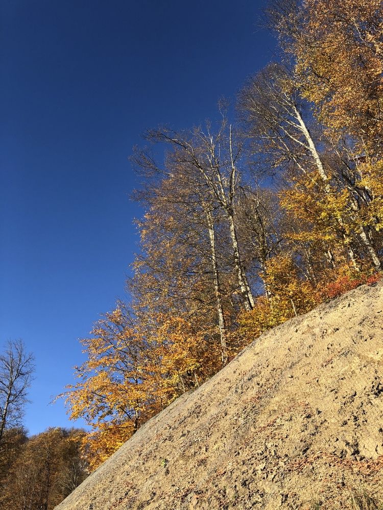 Photograph by Наталья