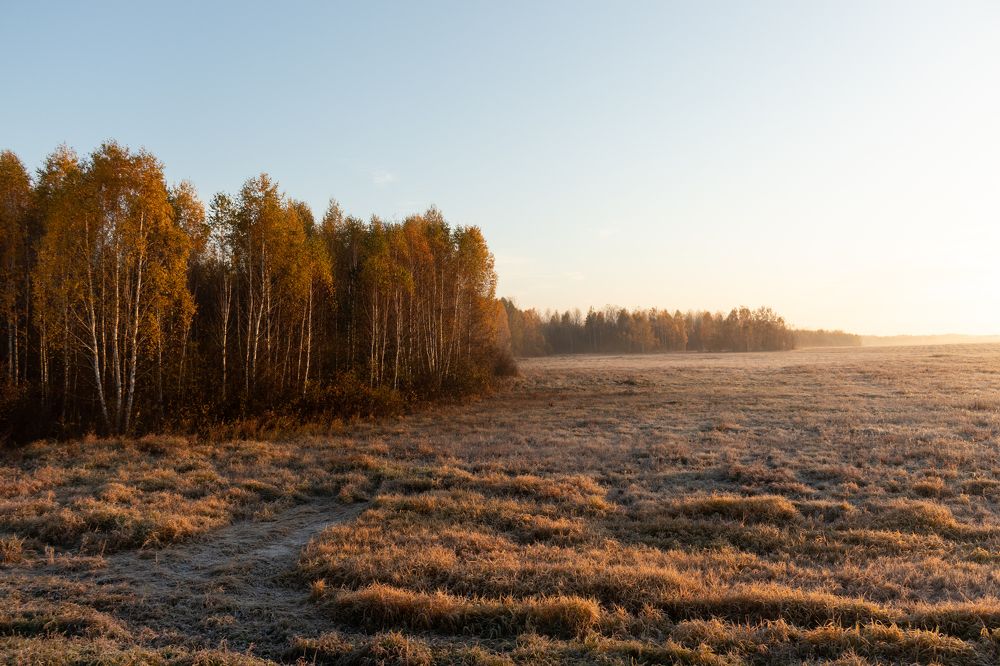 Photograph by Иван Григорьев