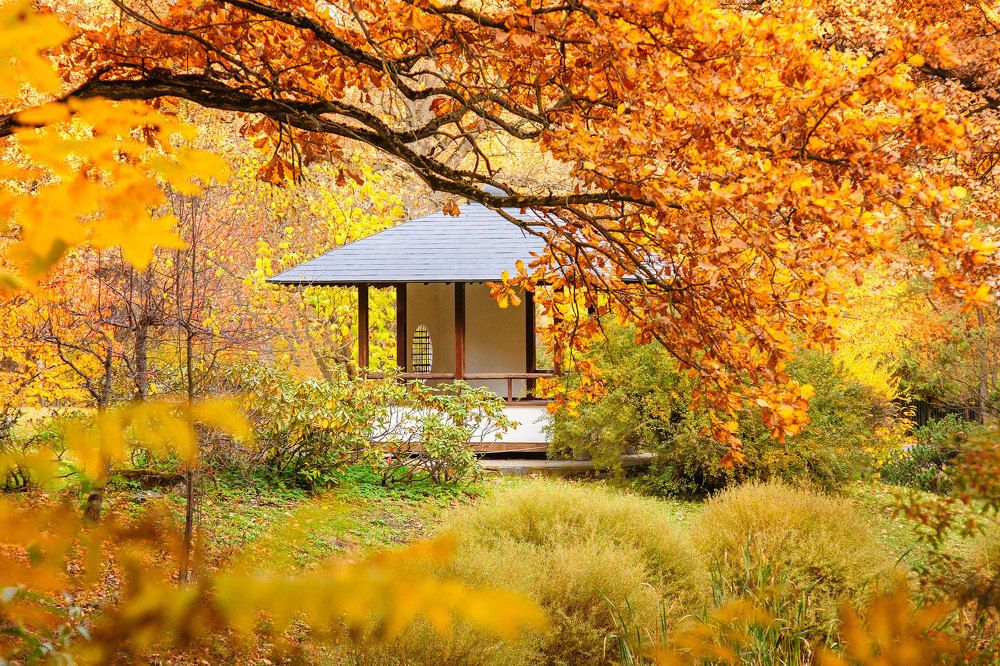 Photograph by Alexander Coin