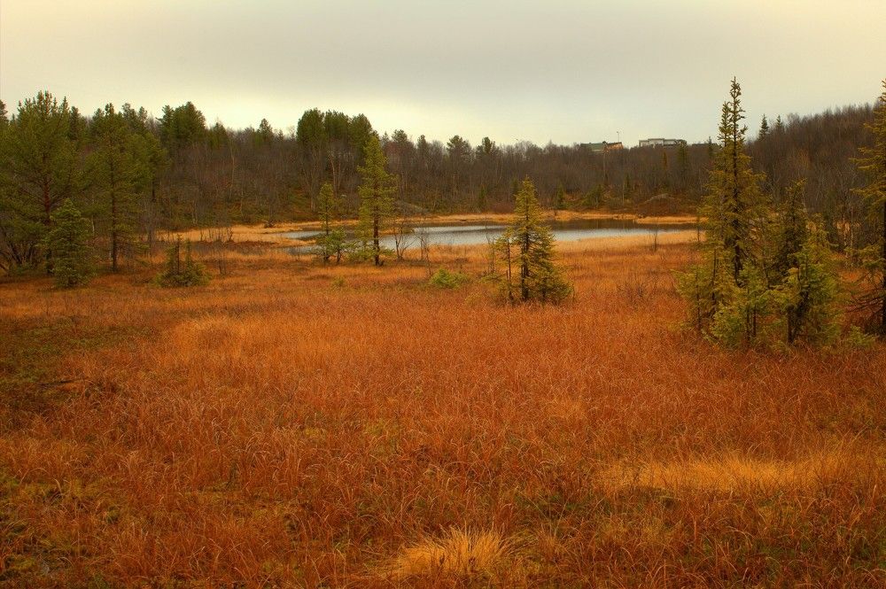 Photograph by Татьяна Мельникова