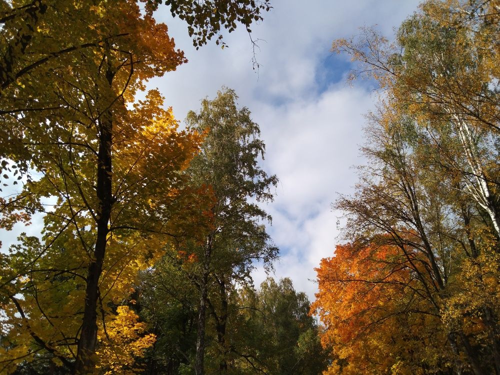 Photo #6615702