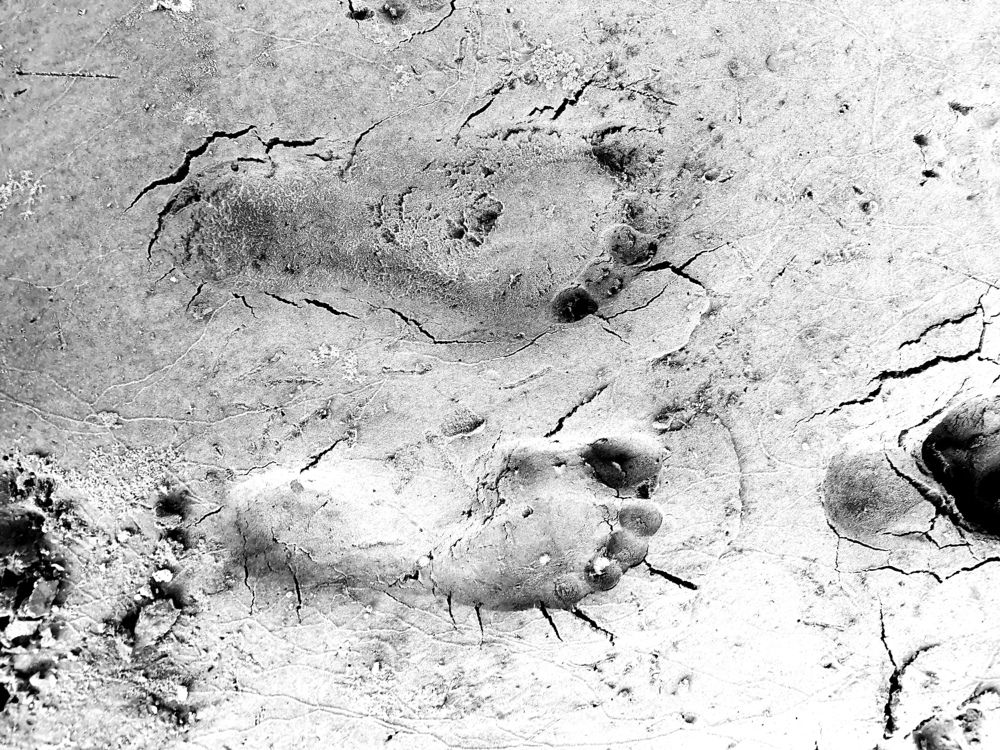 Photograph by Анастасия Копытова