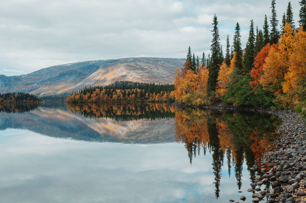 Photograph by Наталья Могилевская