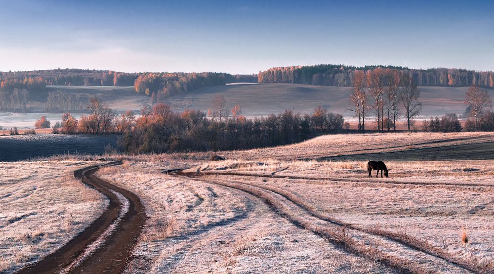 Первый морозец...