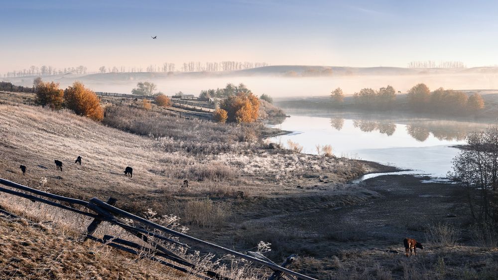 Утренняя свежесть...