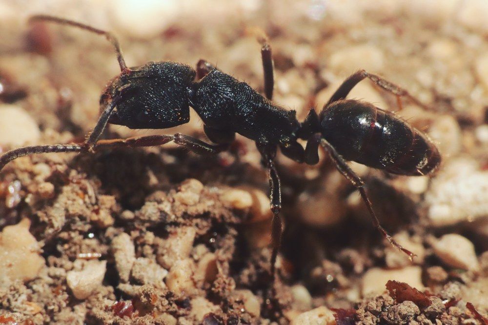 Photograph by Miona Lee