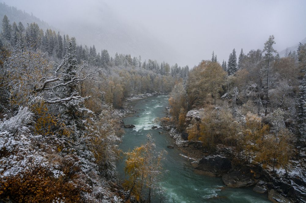 Утренний снег