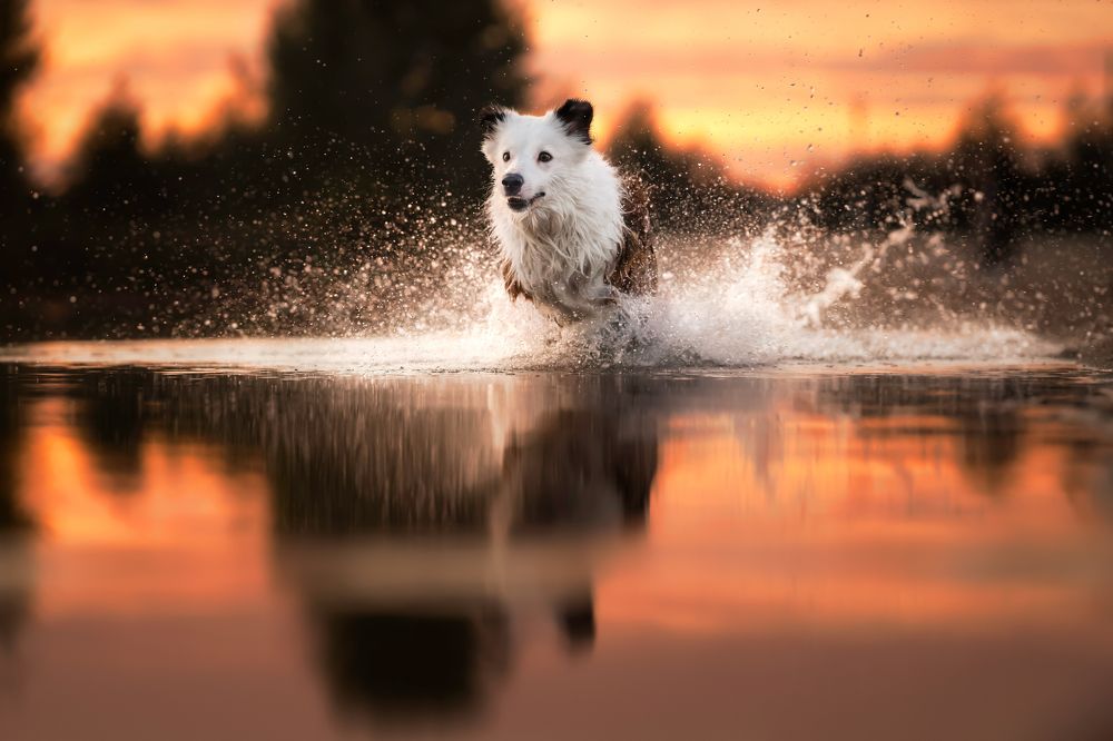 Photograph by Jacqueline Ruediger