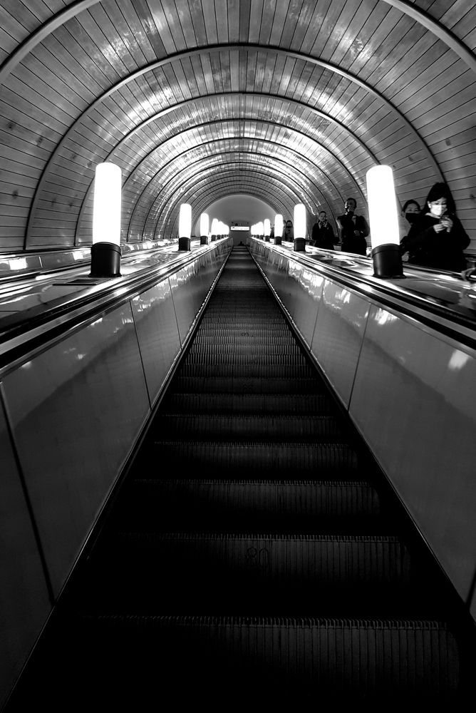 Photograph by Наталья Доброквашина