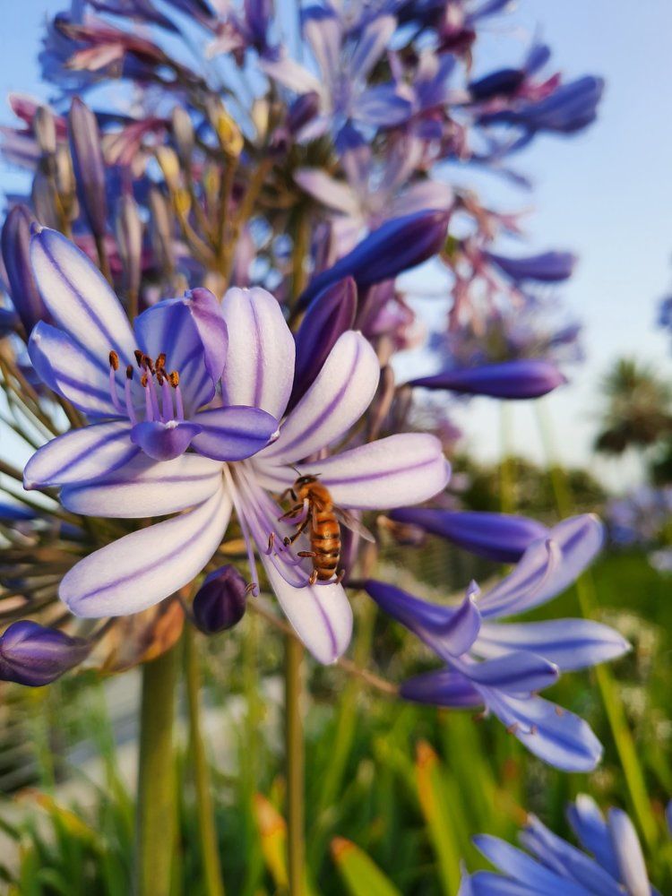 Фотография автора Tetiana Danylenko