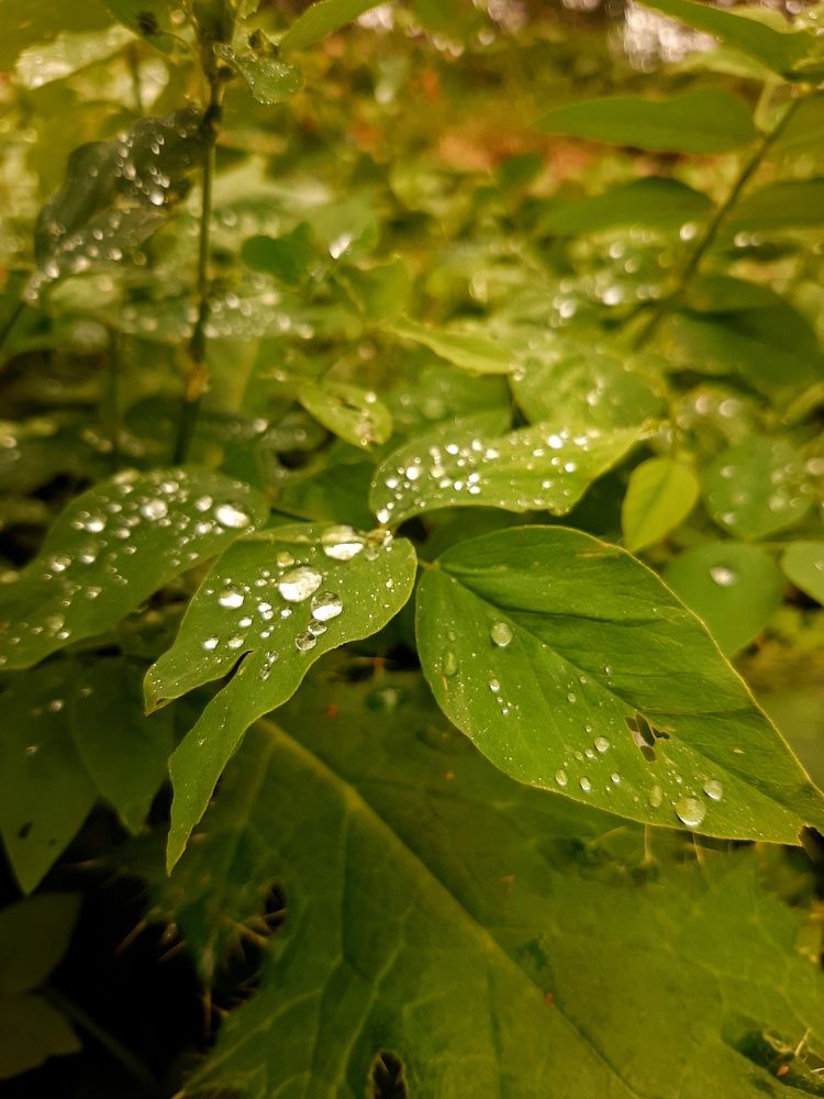 Photograph by Александр Лопатин