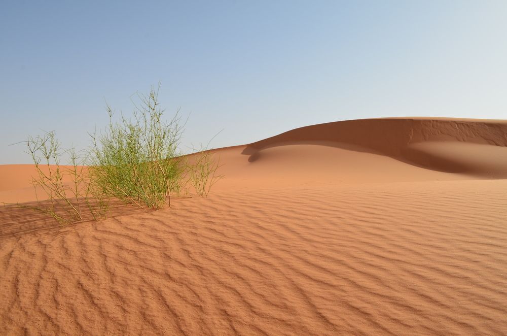 Photograph by Mustapha Baallal