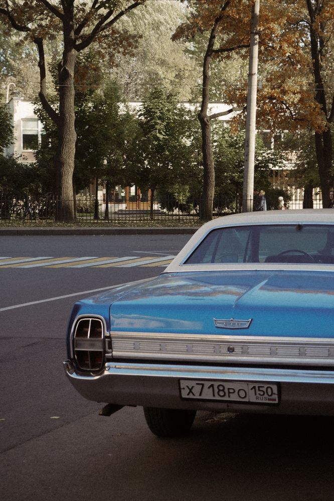 Photo #6615959