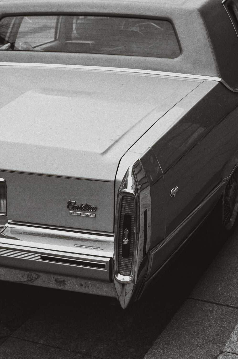 Photo #6615968