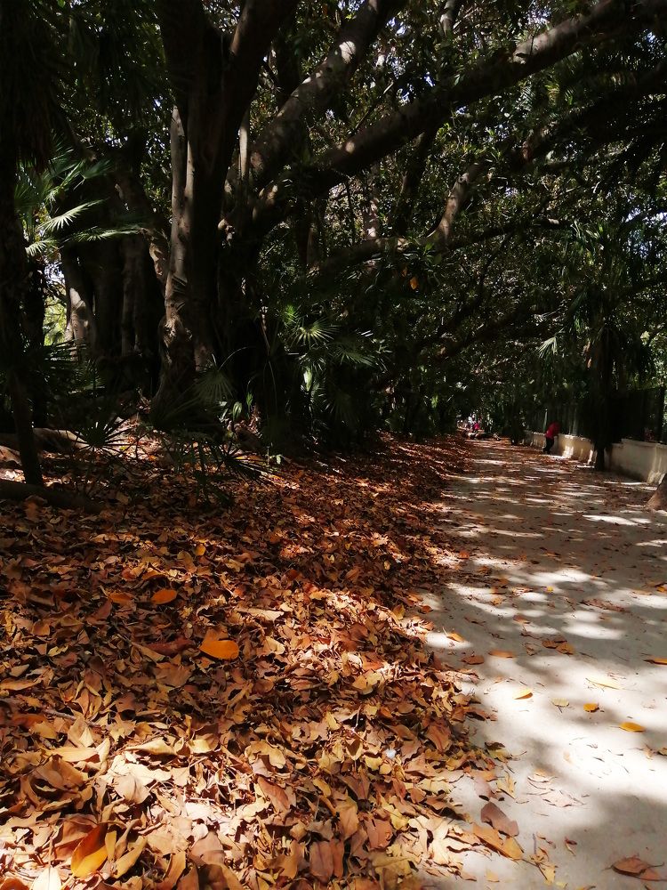 Photograph by Mustapha Baallal