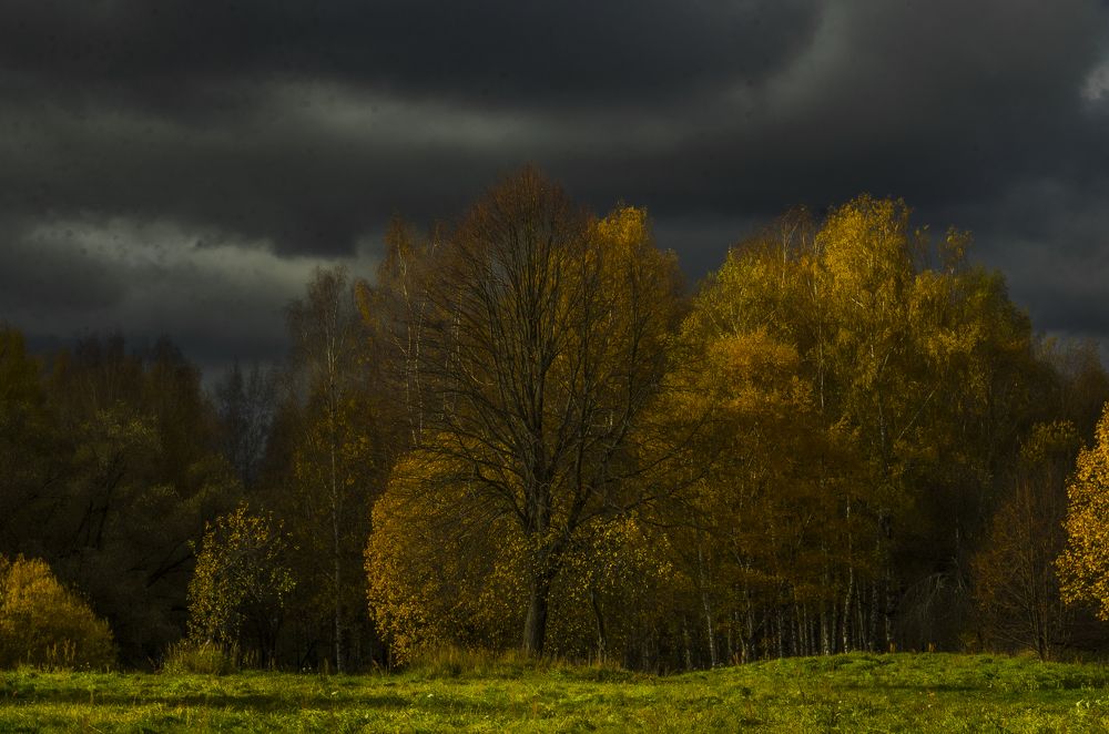 Photograph by Андрей Емельянов