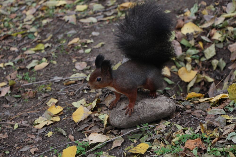 Photograph by Оксана Макрушина