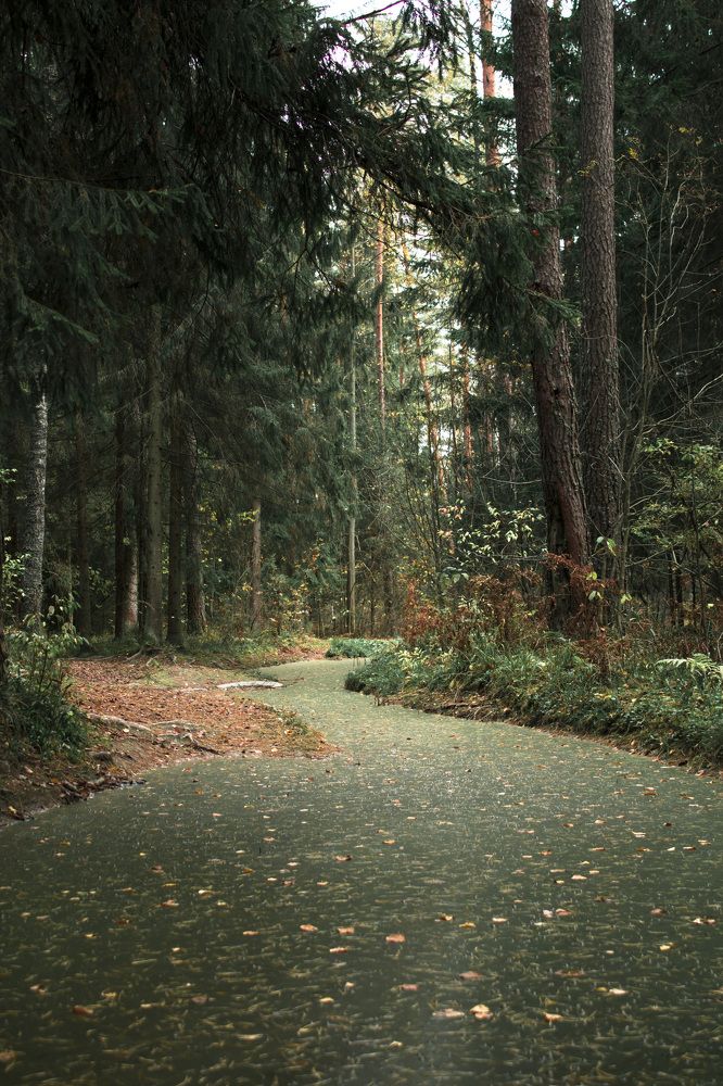 Фотография автора Дмитрий Романов