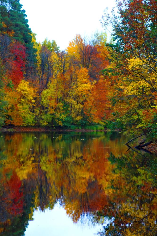 Photograph by Николай Николаевич Леухин