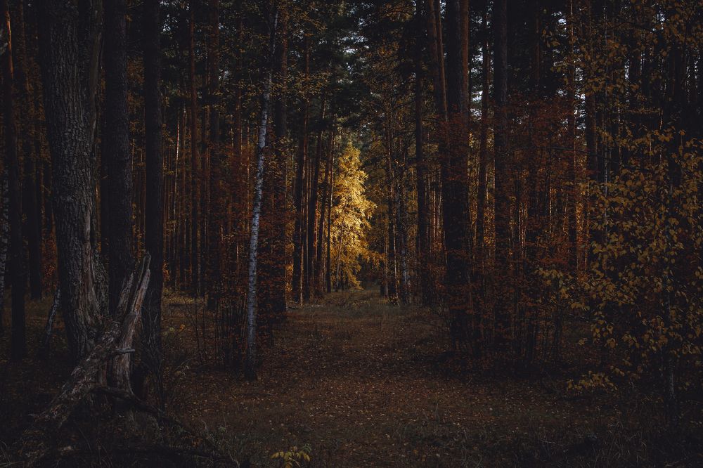 Photograph by Васенин Павел