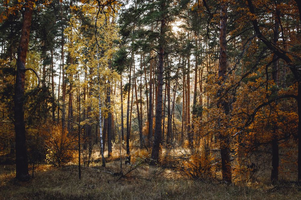 Photograph by Васенин Павел