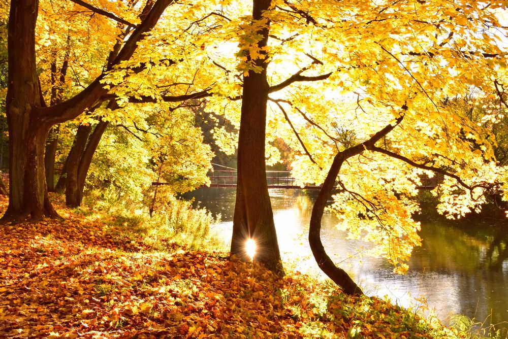 Photograph by Ирина Алексеева