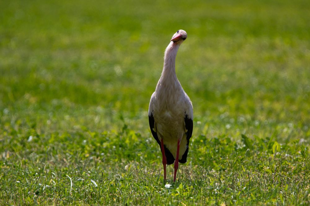 Photograph by Екатерина