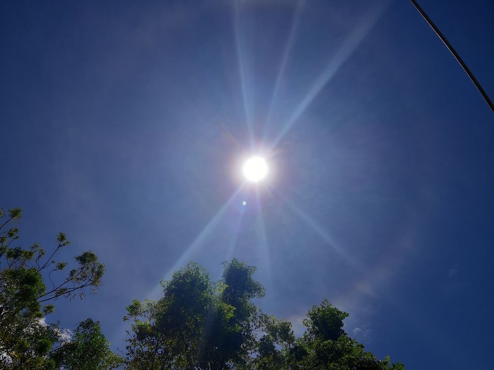 Photograph by Kinga Dorji