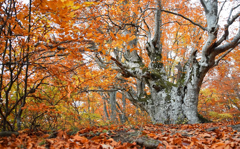 Photograph by Margo Margo