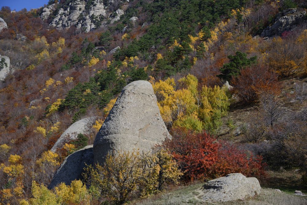 Photograph by Валентин Атрохов