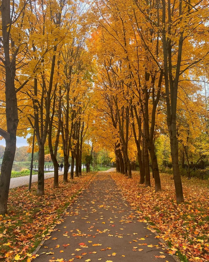 Фотография автора Кирилл Литовский