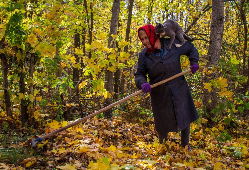 Photograph by Леонтьева Оксана