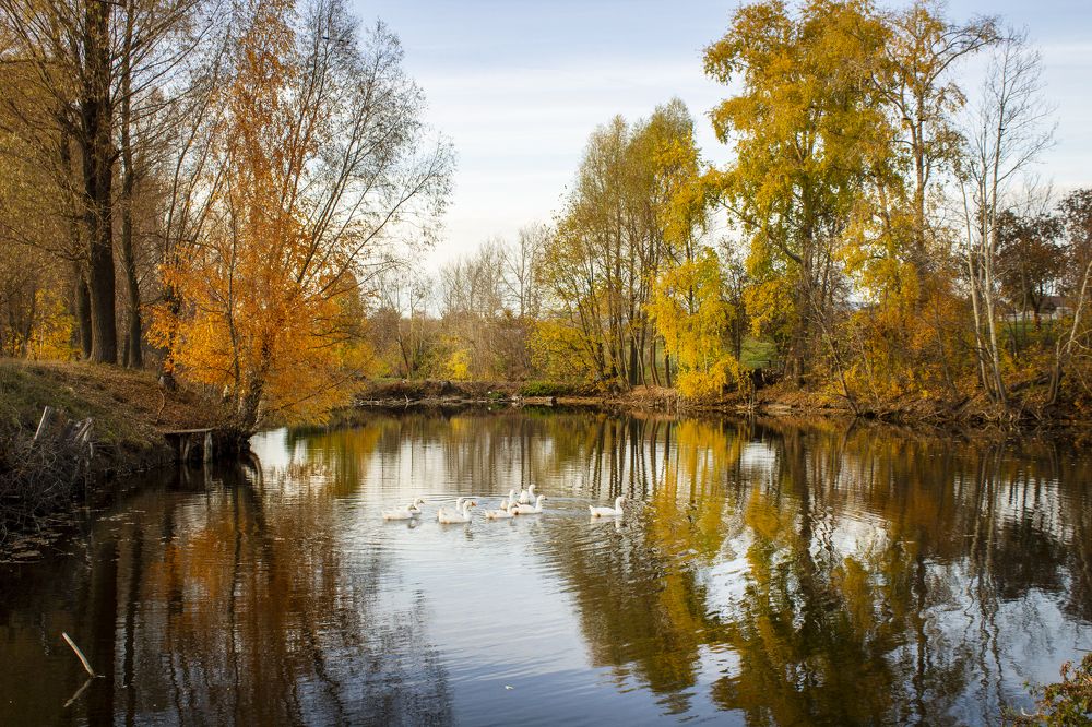 Photograph by Леонтьева Оксана