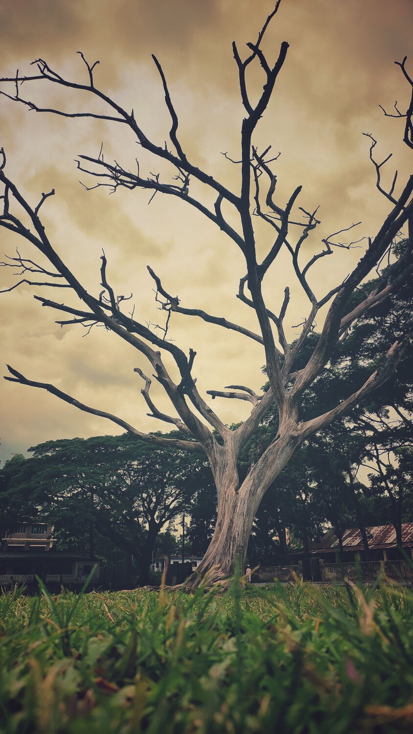 Photo #6616345