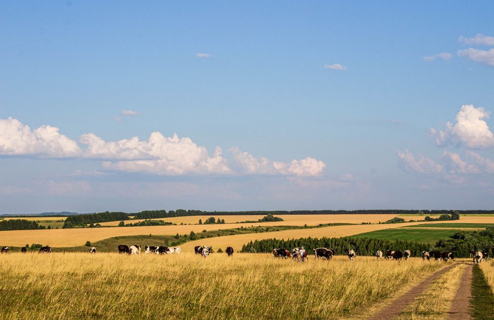 Photograph by Леонтьева Оксана