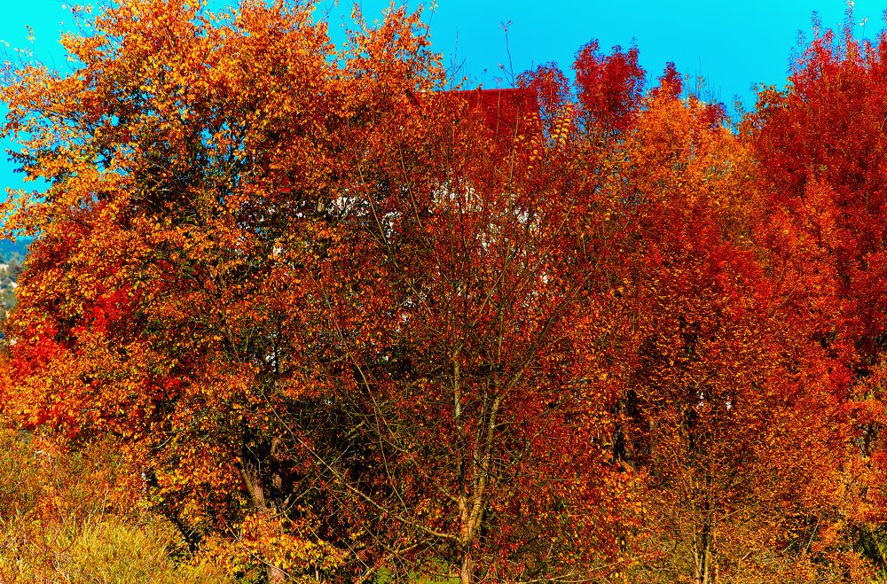 Photograph by Сергей Аксёнов