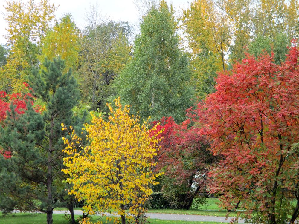 Photograph by Анастасия Старикова