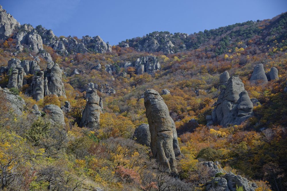 Photograph by Валентин Атрохов