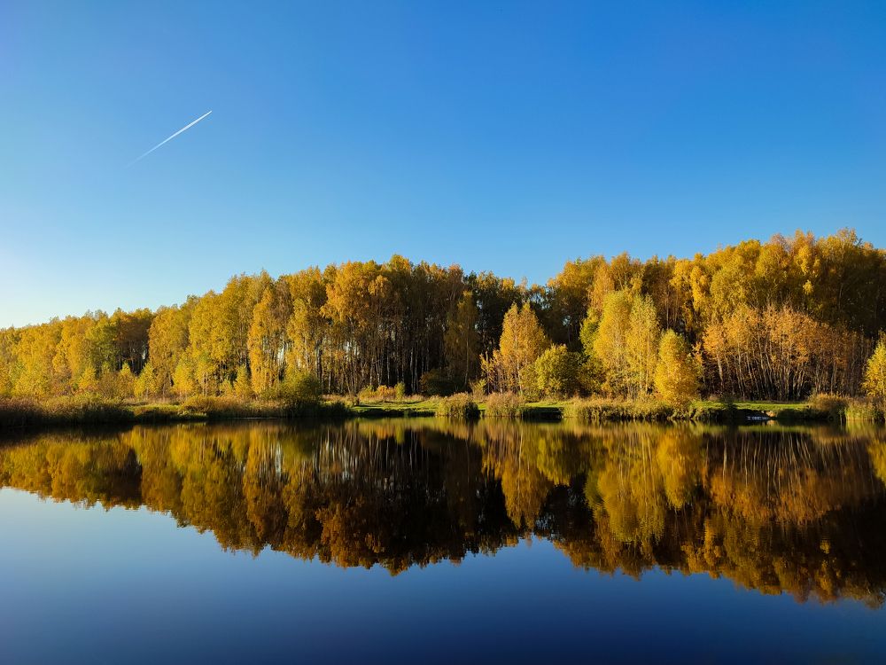 Photograph by Галина Эмберг