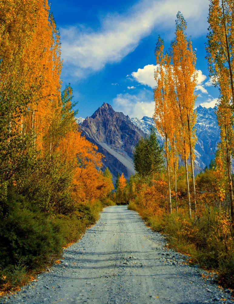 Фотография автора Ubaid Ullah Baig