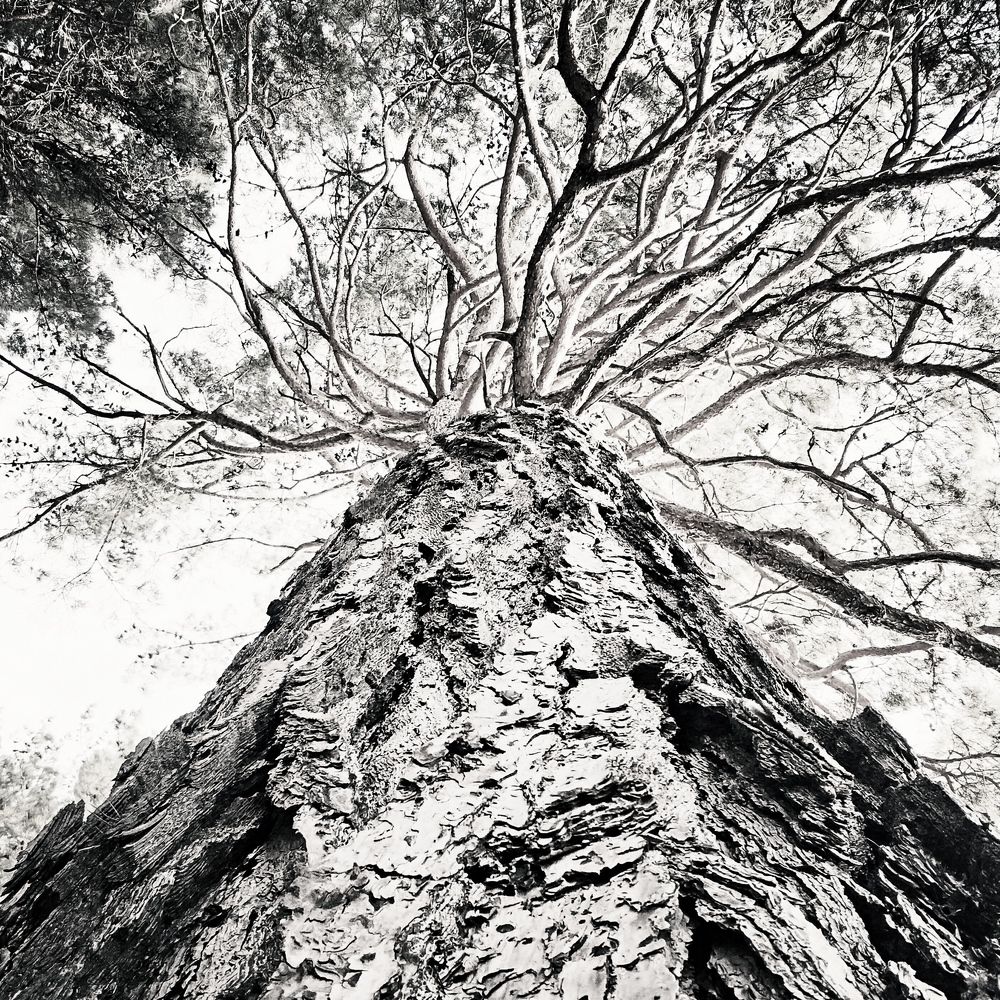 Photograph by Николай Ковальчук