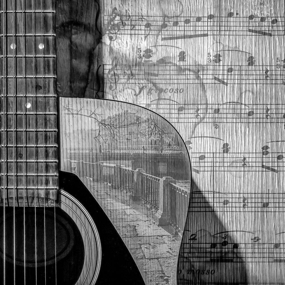 Музыка Осени Ч/Б