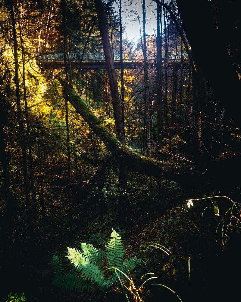 Photograph by Denis Klevalin