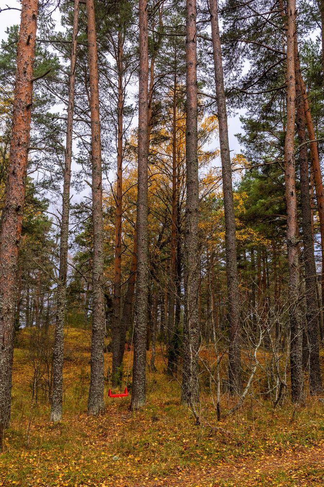 Красные качели