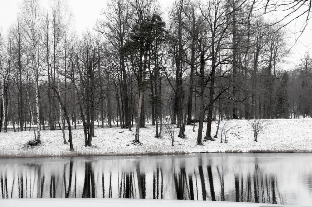 природный штрих-код