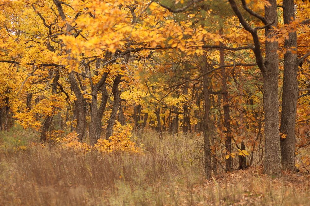 Photograph by Светлана Агеева