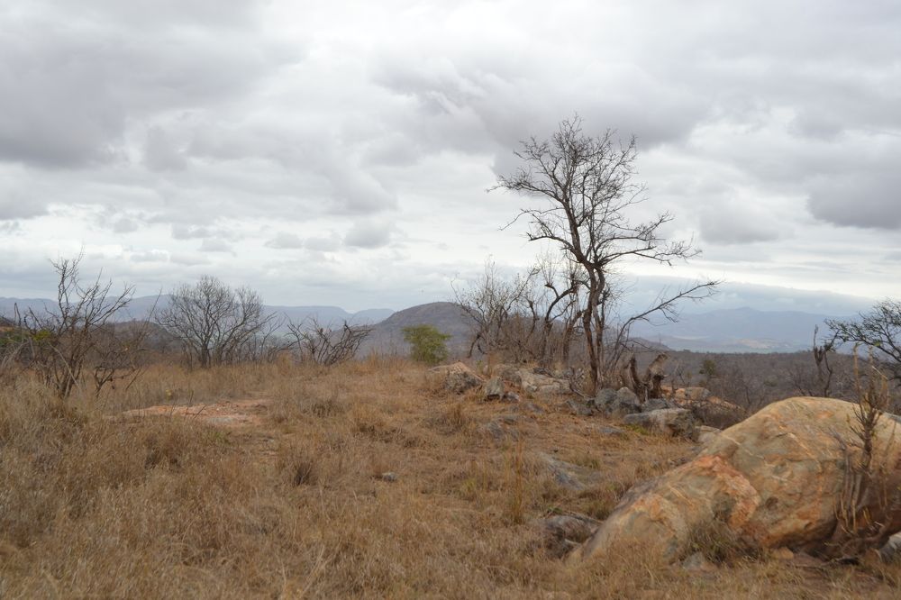 Mountain Top