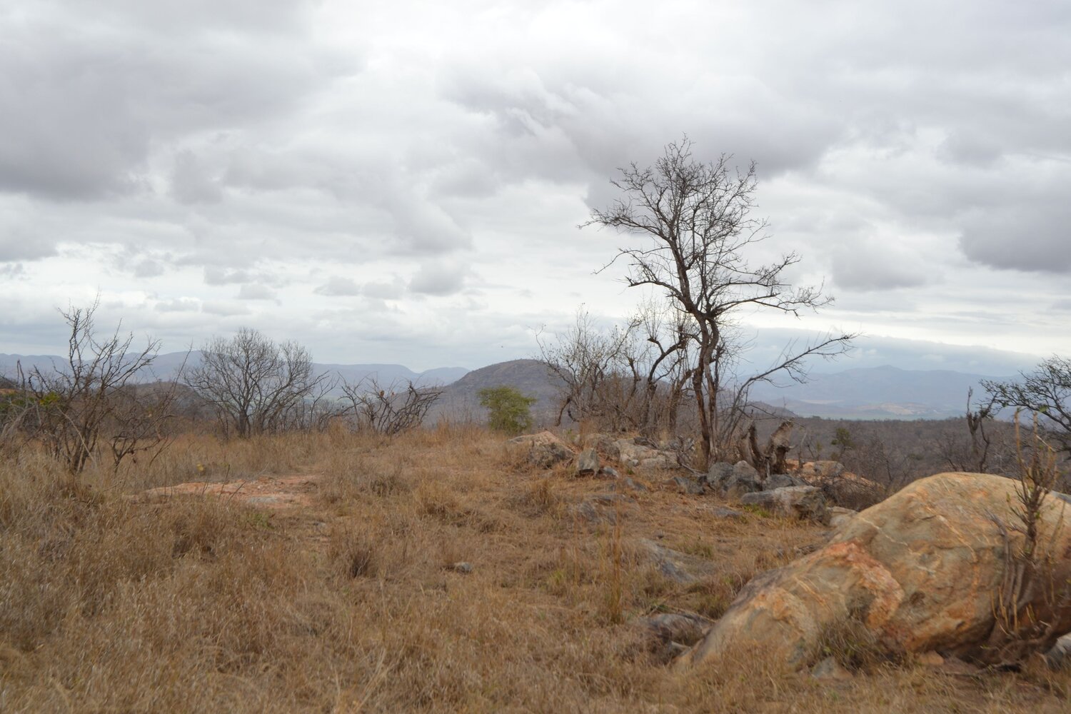 Mountain Top